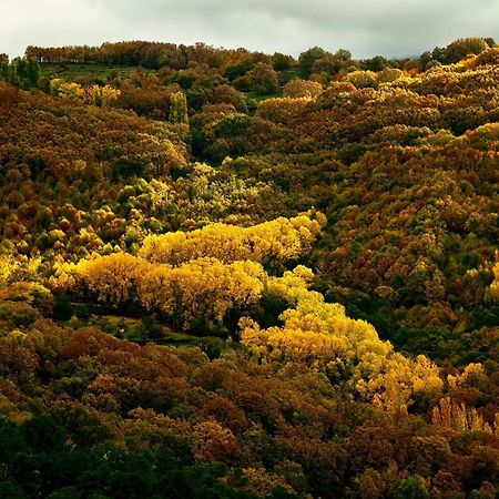 Aroma De Primavera En Casas Rurales Acebuche Casas del Monte 外观 照片