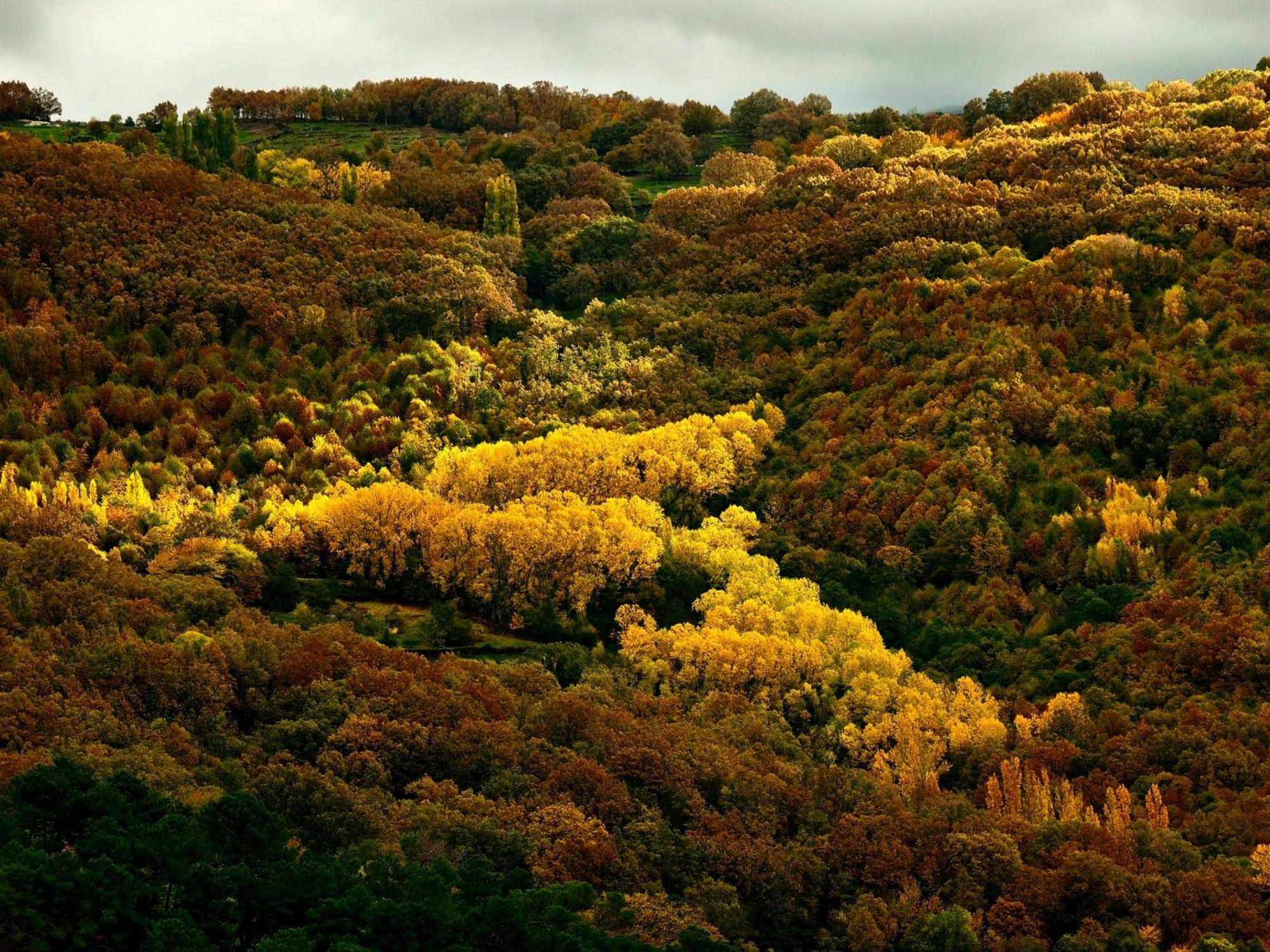 Aroma De Primavera En Casas Rurales Acebuche Casas del Monte 外观 照片