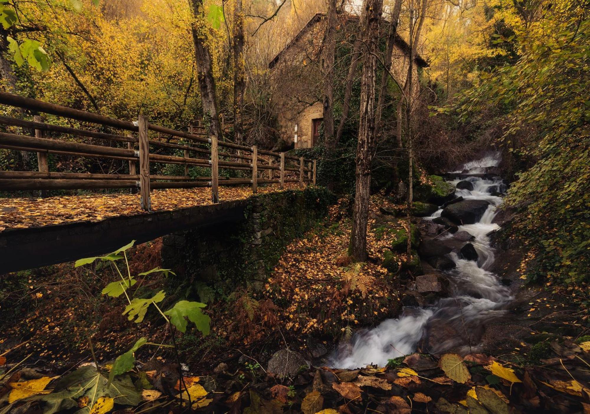 Aroma De Primavera En Casas Rurales Acebuche Casas del Monte 外观 照片