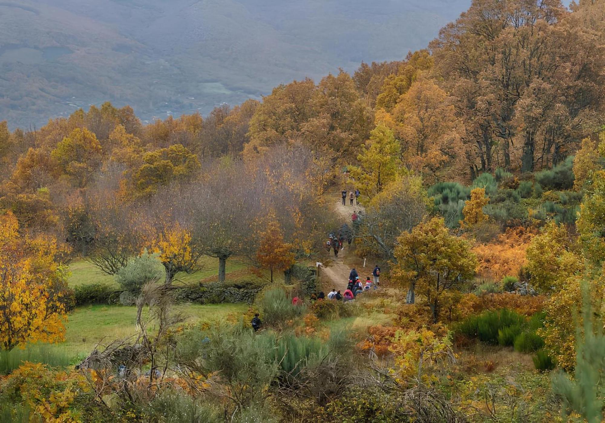Aroma De Primavera En Casas Rurales Acebuche Casas del Monte 外观 照片
